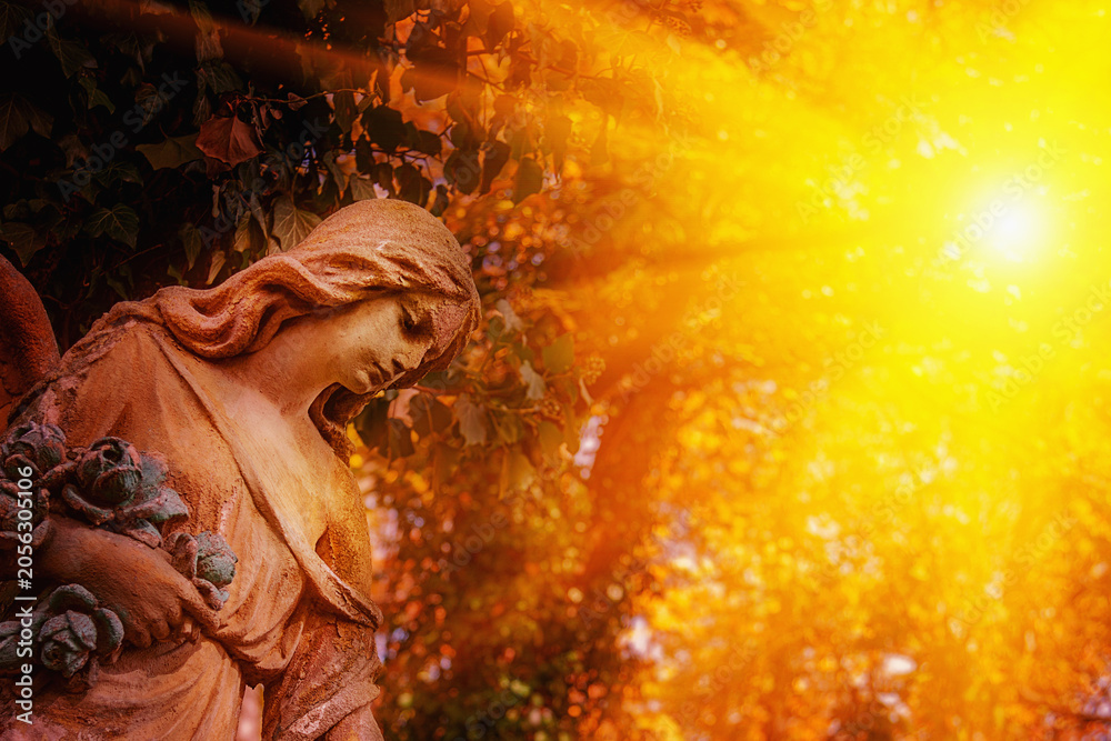 Obraz premium Angel statue illuminated by golden sunset rays in a peaceful garden.