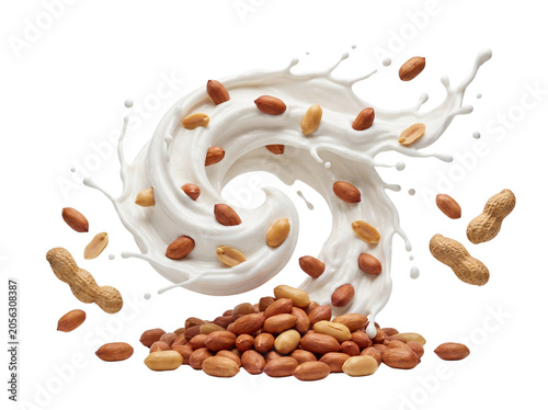 Dynamic peanut swirl in fresh milk splash with heap of nuts.