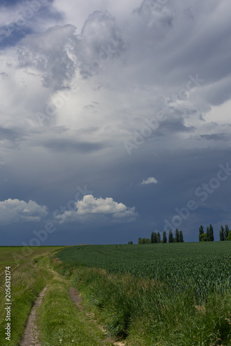 Dramatic Storm Clouds Over Rural Dirt Road and Green Fields
