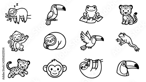 Photography Cute rainforest animals coloring book set featuring sloth toucan frog monkey jag