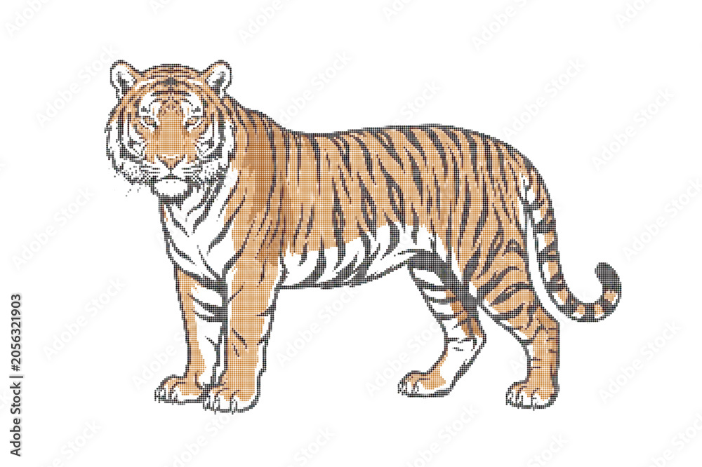 Fototapeta premium Black and white tiger standing sideways vector illustration
