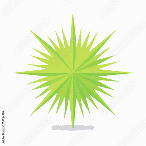 Green Starburst Plant Leaf
