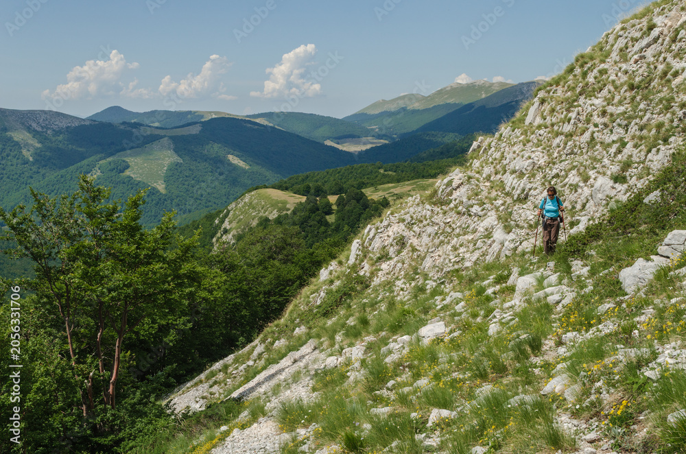 Fototapeta premium Parco Nazionale d'Abruzzo. Monte Marsicano. Pescasseroli