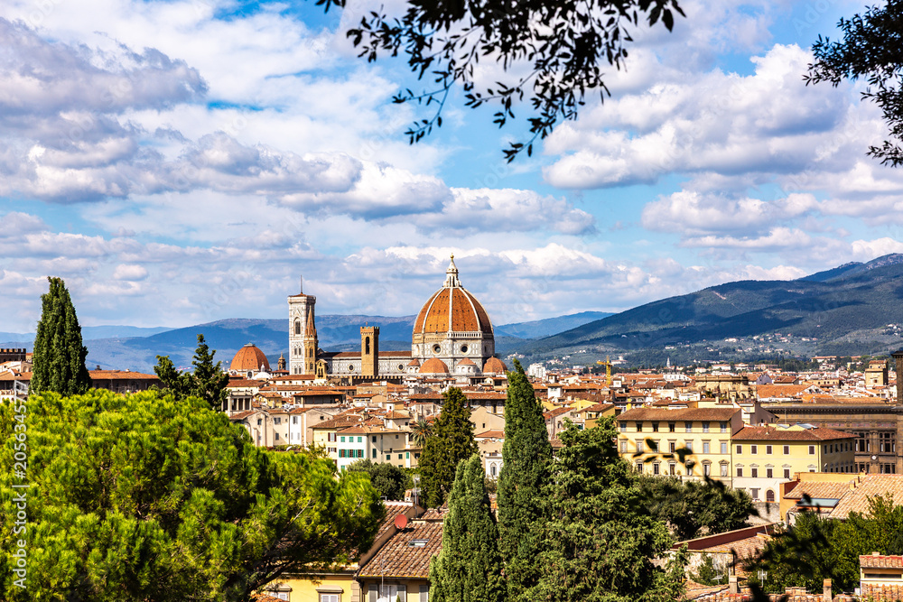 Fototapeta premium Florenz