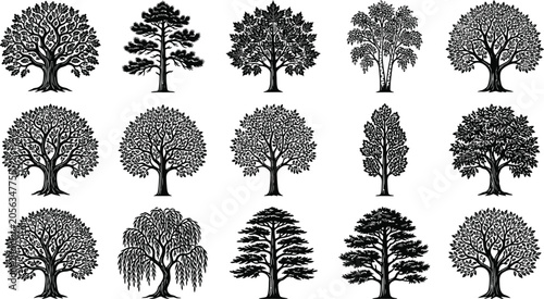 Bild auf Leinwand Black and white of various types of trees and bushes foliage