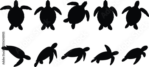 Photos Sea turtle silhouette vector collection set featuring loggerhead leatherback gre