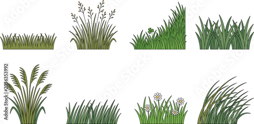 Foto Green grass tufts and meadow plant borders vector set featuring botanical tufts