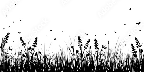 Quadro su tela Meadow grass and wildflowers black silhouette against a white background