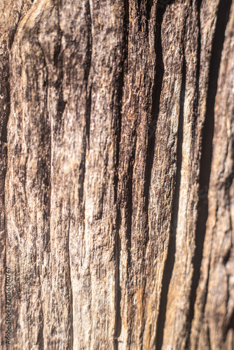 Abstract Weathered Wood Texture with Cracks and Tree Rings, Rustic Natural Background Showing Aging and Organic Patterns