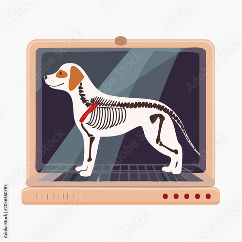 Dog Skeleton X-ray on Laptop Screen