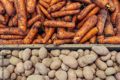 Fotografie Simple root vegetables potatoes and carrots symbolizing resilient local agricult