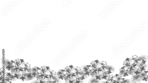 白黒の紫陽花（あじさい）のイラスト