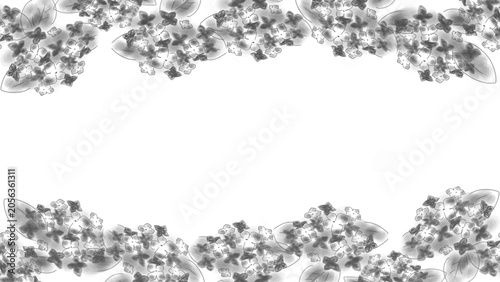 白黒の紫陽花（あじさい）のイラスト