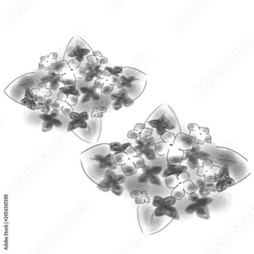 白黒の紫陽花（あじさい）のイラスト
