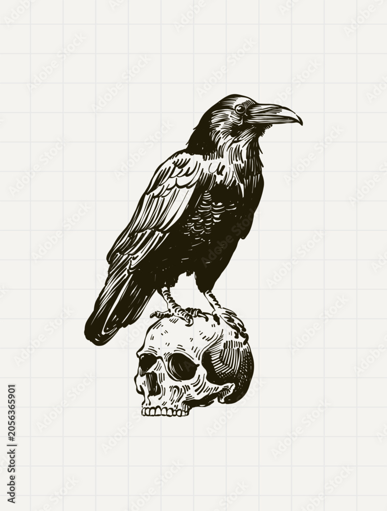 Obraz premium Vintage Raven on Skull Engraving Illustration