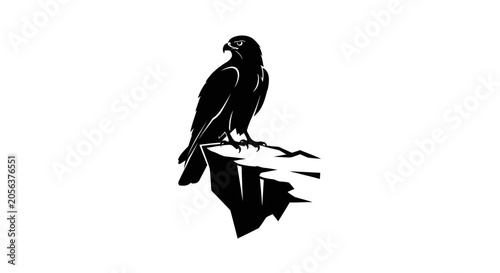 Fotografie Majestic eagle perched atop a rugged cliffside observing its domain with keen focus