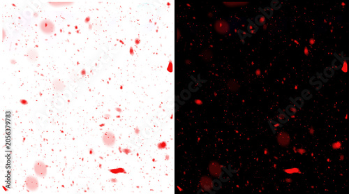 Bild auf Leinwand Red blood cells under microscope, microscopic view of human blood cells on white