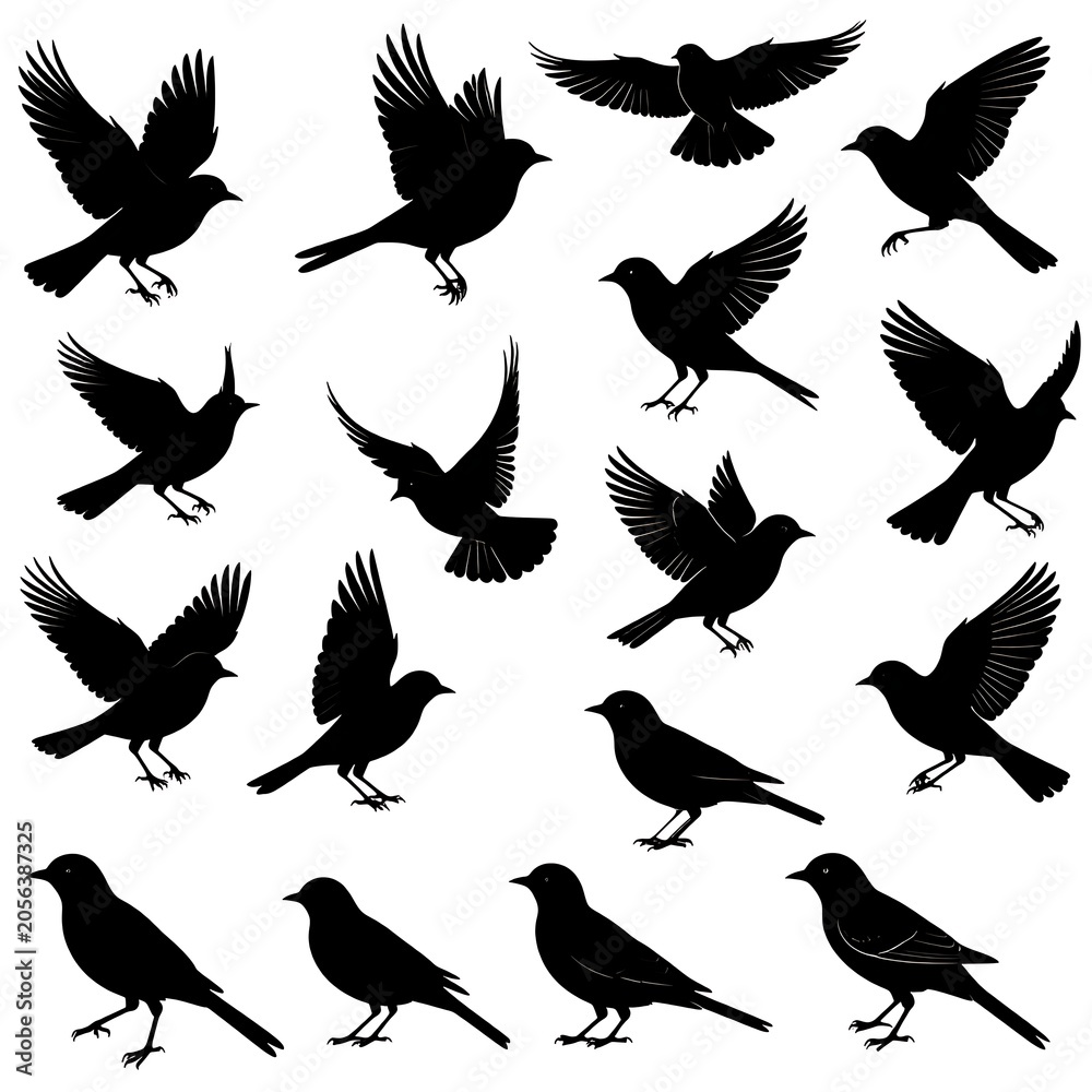 Obraz premium A collection of fifteen black silhouettes of birds in various poses