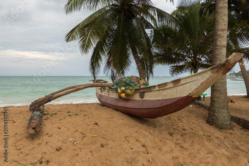 Outrigger canoe known as oruwa used by Sinhalese fishermen pulled up on beach under palm trees, Tangalle, South Coast, Sri Lanka