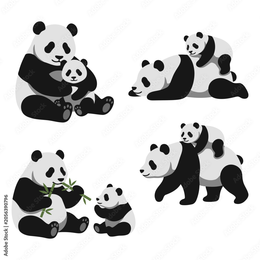 Naklejka premium Giant panda mother and baby collection featuring cuddling, feeding bamboo, resting and family bonding wildlife moments Flat vector illustration
