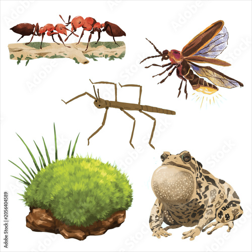 Obraz na plátně Set of forest insects and small wildlife illustrations with wildlife creature il