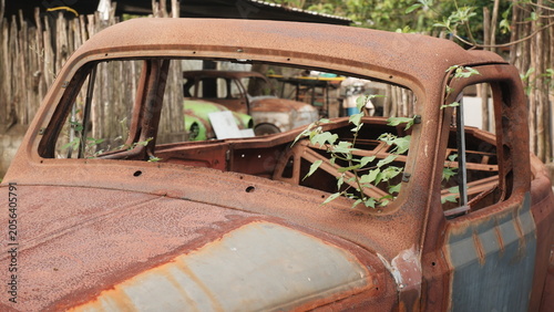 Abandoned Rusty Vintage Truck Chassis Reclaimed by Nature