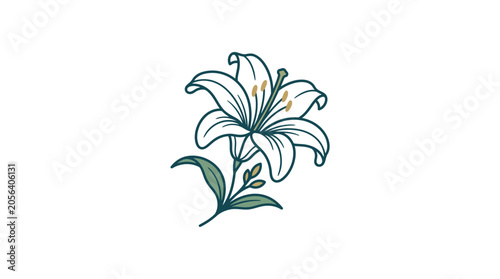 Vászonkép Elegant White Lily Flower Illustration with Green Leaves on White Background