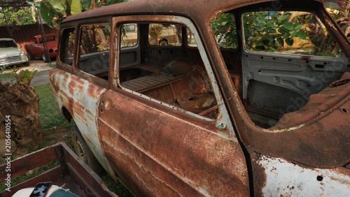 Abandoned Vintage Station Wagon Rusted in Garden Setting