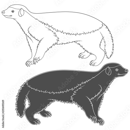 Set of black and white illustrations with honey badger. Isolated vector objects on a white background.