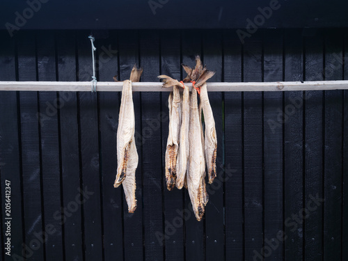 Traditional Nordic dried fish hanging on wooden racks outdoor. Scandinavian stockfish curing process in the fresh air with a rustic timber background.