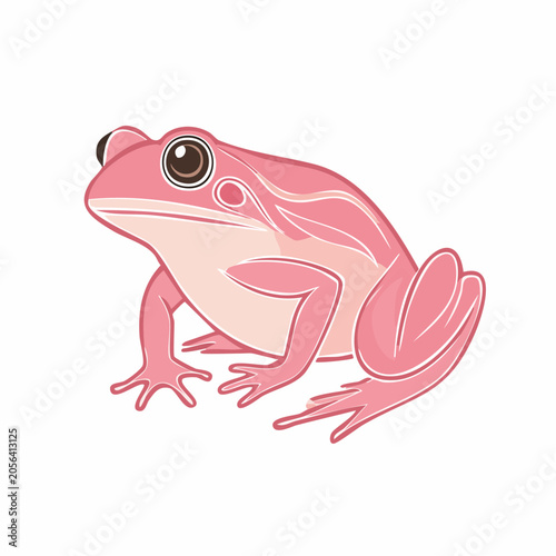 Pink Frog Illustration