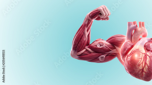 3D render of human heart attached to flexed muscular arm on blue gradient.