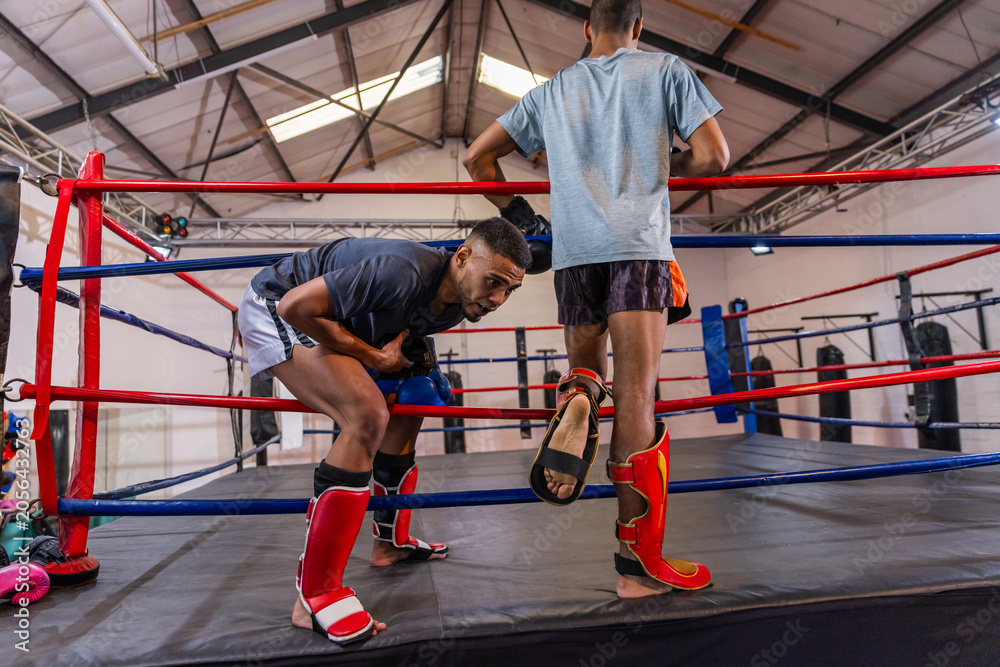 Fototapeta premium African American male fighters adjusting shin guards and checking gear inside boxing ring