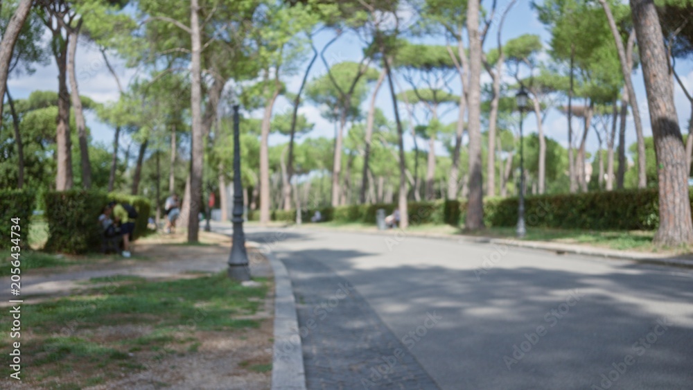 Fototapeta premium Blurred bokeh park background showing soft shallow focus on tree lined path, distant lamp posts and hedges along a quiet avenue; background backdrop copyspace calm.