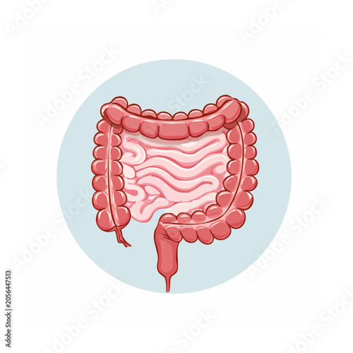 Flat design vector illustration of human brain