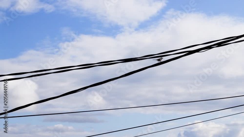 Static shot of overhead power lines gently swaying in the wind, with a sparrow perched on the wire against a blue sky with drifting clouds.