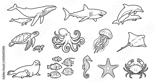 Photography Ocean animals line art collection, sea life vector set, marine creature icons fo