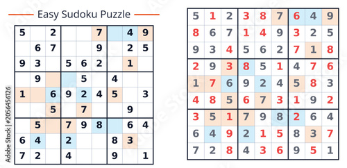 Sudoku with answers vector
