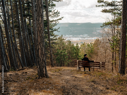 Man Sitting on Forest Bench Overlooking Valley