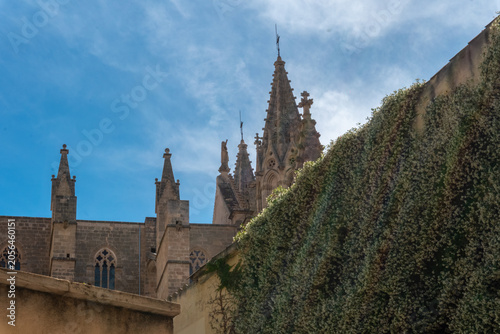 Low angle view of a historic Gothic cathedral spire rising behind a stone wall covered in lush green ivy under a cloudy blue sky in summer.