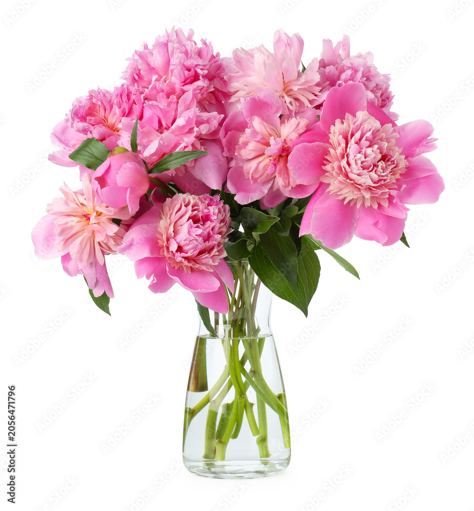 Obraz premium Bouquet of pink peonies with green leaves in vase isolated on white