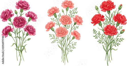 Fotografie Carnation flower bouquets vector set featuring beautiful pink, peach, and red blooming dianthus blossoms with green leaves isolated on white background