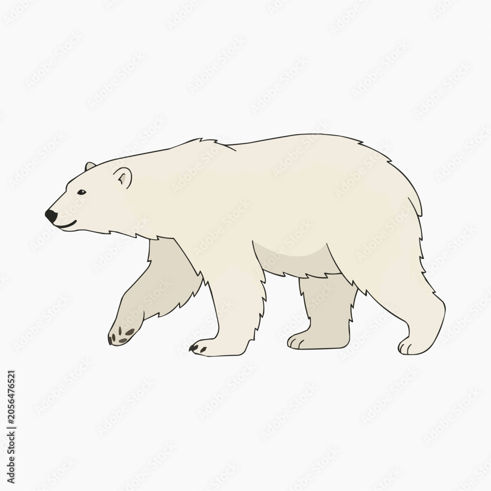 Fototapeta premium Polar Bear Illustration: A stylized illustration depicts a polar bear walking, showcasing its white fur and distinctive features.