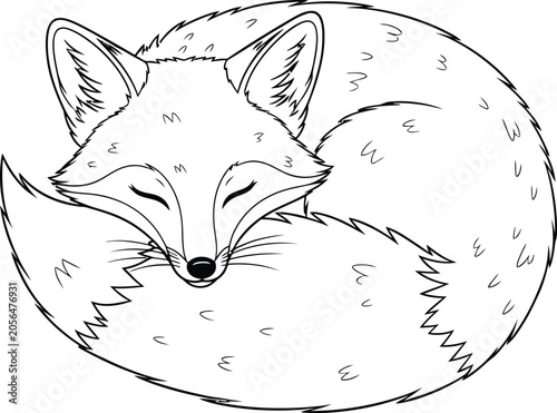 Sleeping fox curled up in a ball vector line drawing with sleeping wildlife illustration peaceful