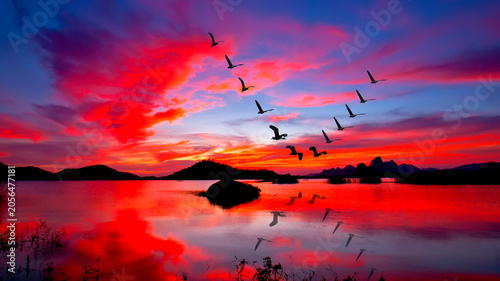 A flock of birds flying on the background evening landscape above the lake	