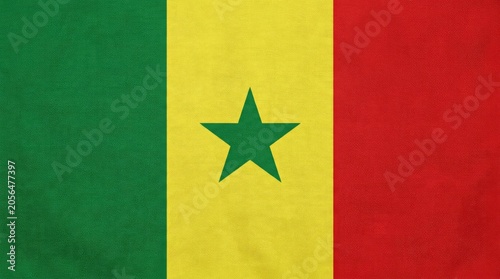 The flag of Senegal, featuring vertical bands of green, yellow, and red with a green star in the center