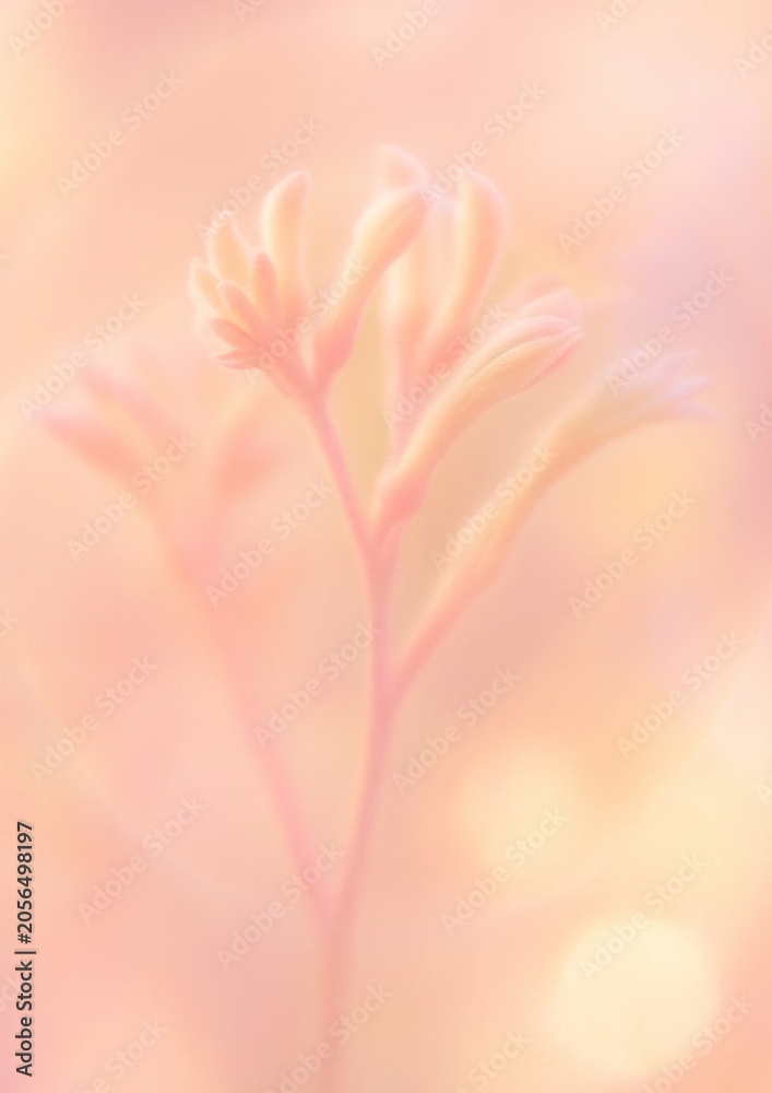 Fototapeta premium Soft pastel floral elegance