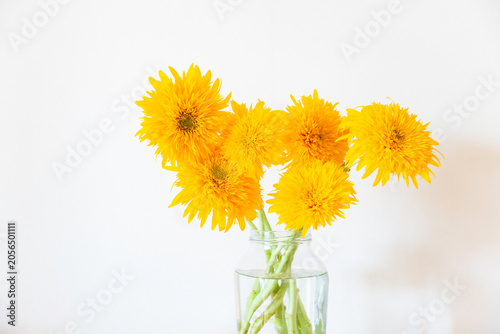 Foto ガラスの花びんに生けられた八重咲のゴッホのひまわり、黄色、オレンジ色のヒマワリ、夏の花