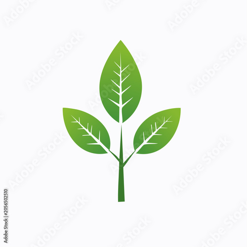 Green Leaf Icon
