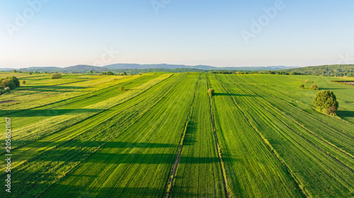 Drone shot displays rural landscape of Dreznik area near Plitvice Lakes. Green agricultural fields, farm lands, and countryside roads spread across traditional Croatian village territory.